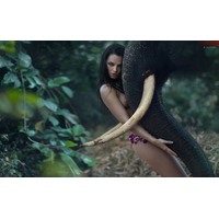 BONE ELEPHANT Â©_6-X75SKvYbZNut9eUR0eo5DpYzyKvxnOOz.jpg